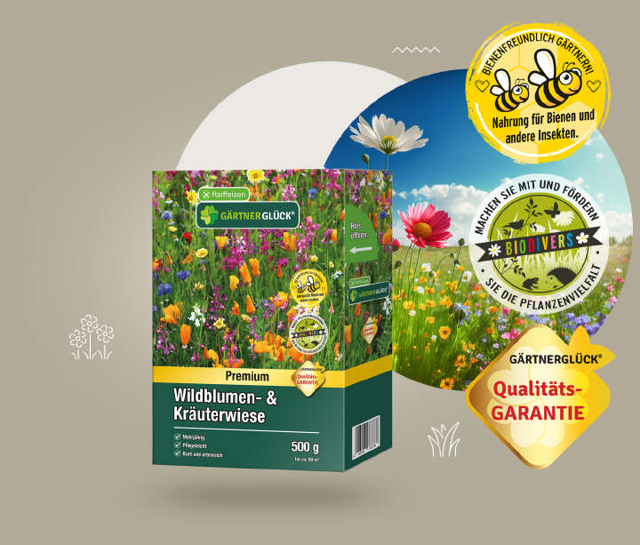 gaertnerglueck bannerbild wildblumen kraeuterwiese 1512x1287 gaertnerglueck bannerbild wildblumen kraeuterwiese 1512x1287